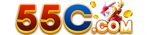 55C.COM